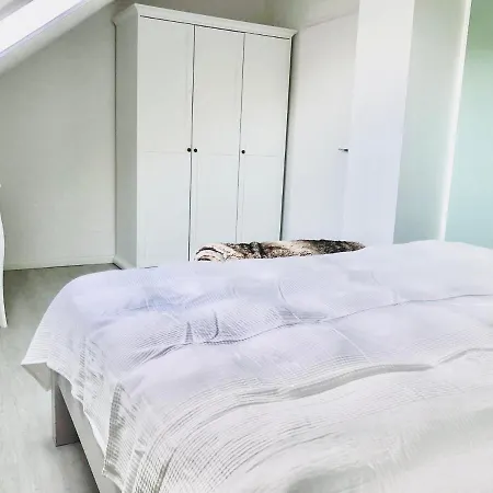 Hus Inne Suenn * Welt